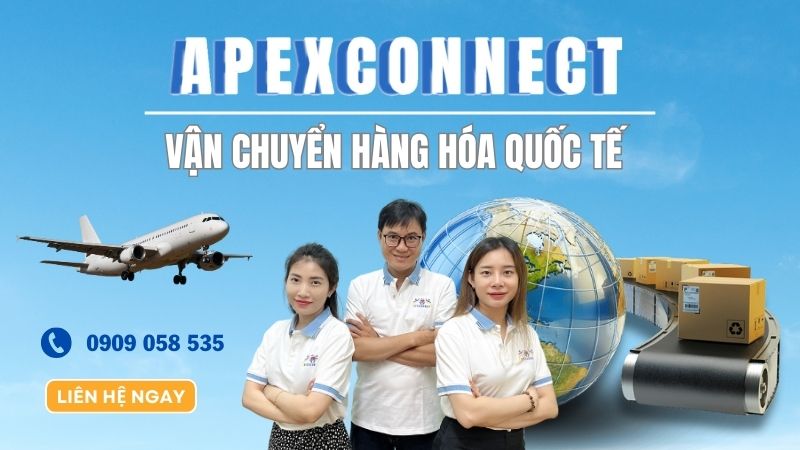 Đội ngũ nhân viên của Apexconnect